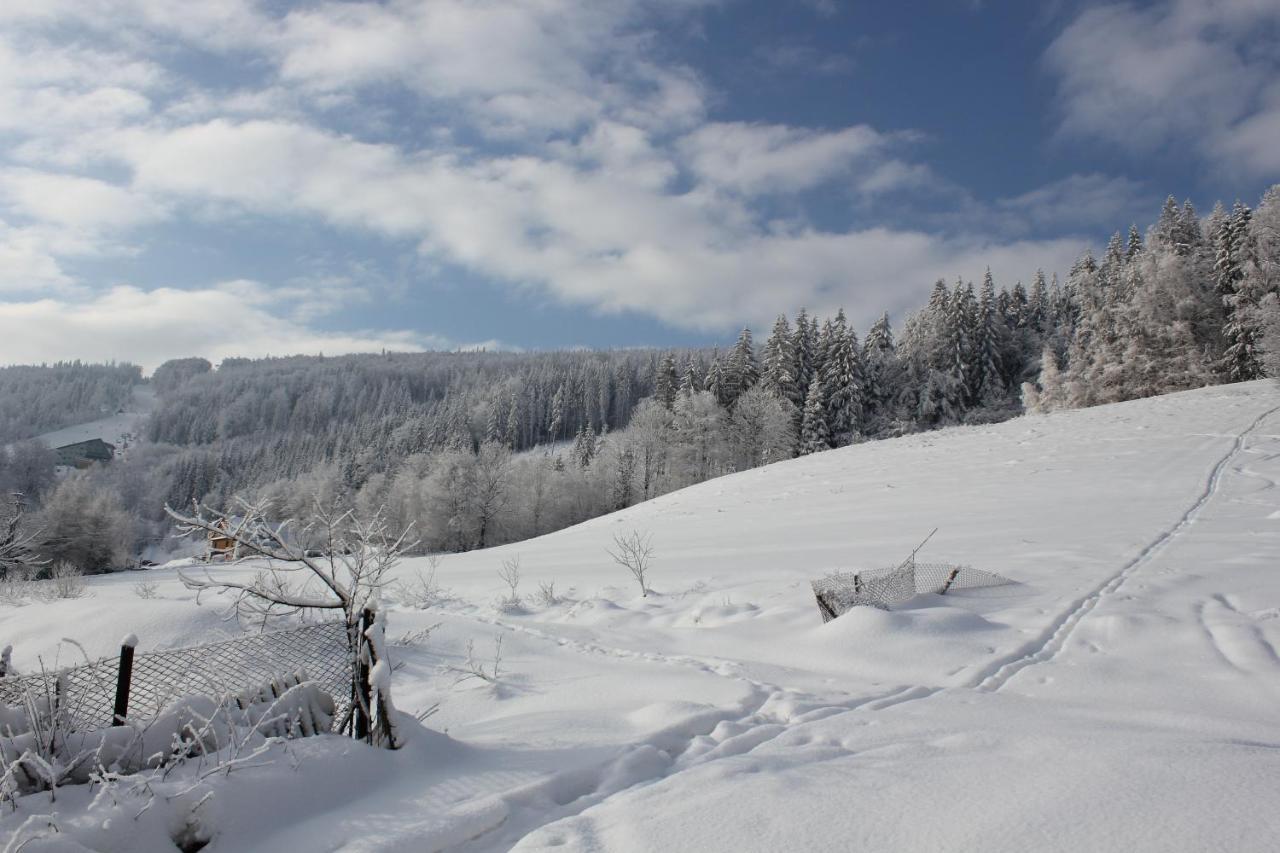 Bed and Breakfast Cudne Manowce Вісла Екстер'єр фото