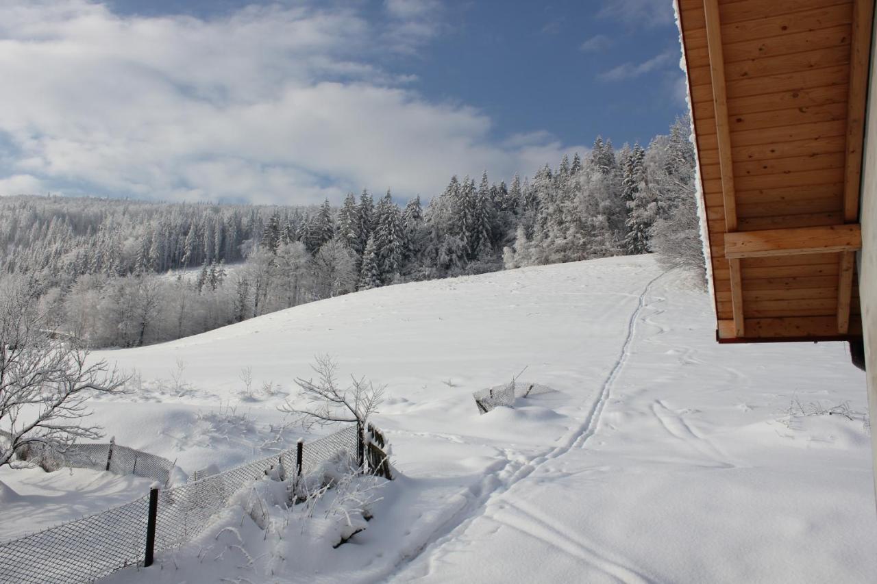 Bed and Breakfast Cudne Manowce Вісла Екстер'єр фото